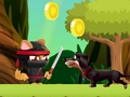 Hra Ninja mačky  online