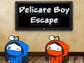 Hra Delikátny Boy Escape  online