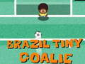 Hra Malý brankár Brazílie  online