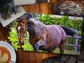 Hra Vydanie Jigsaw Puzzle Horses  online