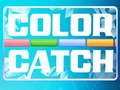 Hra Colour Catch  online