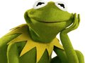 Hra Omaľovánka pre žabu Kermit  online