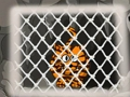 Hra Útek tigra 1  online