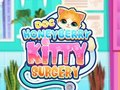 Hra Doc HoneyBerry Kitty chirurgia  online