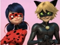 Hra Zázračná skladačka Lienka & Cat Noir  online