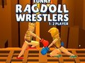 Hra Zábavní ragdolloví zápasníci  online