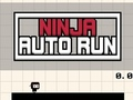 Hra Ninja Auto Run online