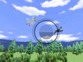 Hra Wii športové pozorovanie vtákov  online