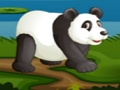 Hra Futbalová Panda  online