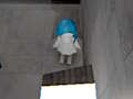 Hra 9 Cam online