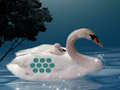 Hra Zachráňte matku Swan Matka online