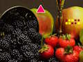 Hra Pomôžte Ant Pair  online