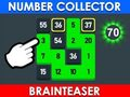 Hra Zberateľ čísel: Brainteaser  online
