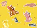 Hra Tom a Jerry Show Nájdite to!  online