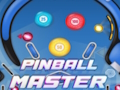 Hra Majster pinballu  online