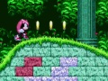 Hra Mighty & Ray v Sonic 2  online