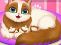 Hra Cute Kitty Tehotná  online