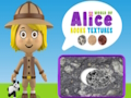 Hra Textúry sveta Alice Rocks  online
