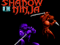 Hra Tieň ninja online