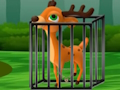 Hra Deer Dash na slobodu online