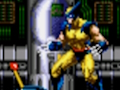 Hra Wolverine - Adamantium Rage online
