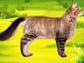 Hra Cat Pet Doctor Zubár  online
