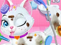 Hra Starostlivosť o veterinárne zvieratá pre zvieratá  online