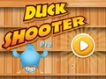 Hra Kačica Shooter Pro online