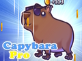Hra Capybra Pro online
