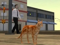 Hra Simulátor Cat City  online