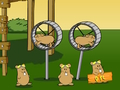 Hra Krycie meno Kids Next Door Flight of the Hamsters  online