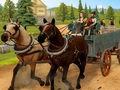 Hra Simulátor jazdy na koni  online