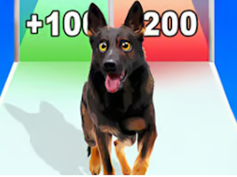 Hra Beh evolúcie psa  online