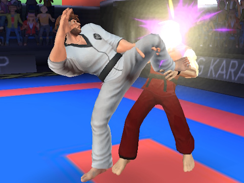 Hra Karate bojovník  online