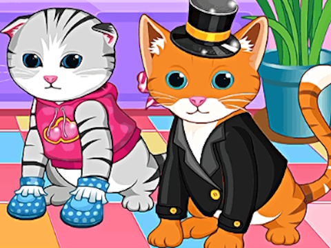 Hra Detský pet setter  online