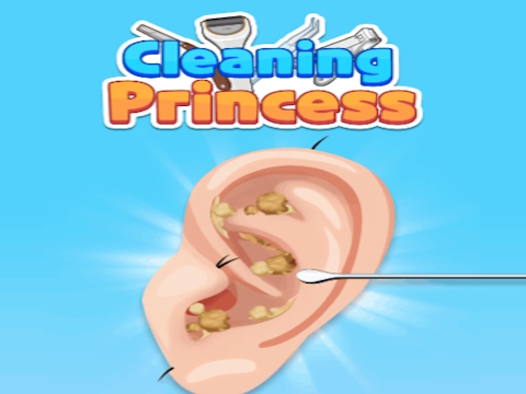 Hra Čistenie princeznej  online
