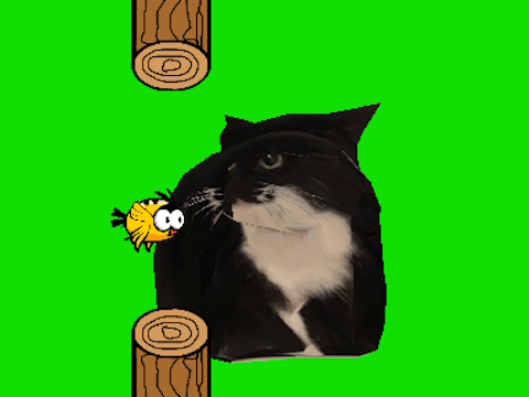 Hra Flappy Bird Spinning Oia oia Cat online