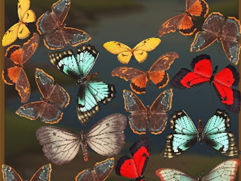 Hra MergeButerfly: 2048! online