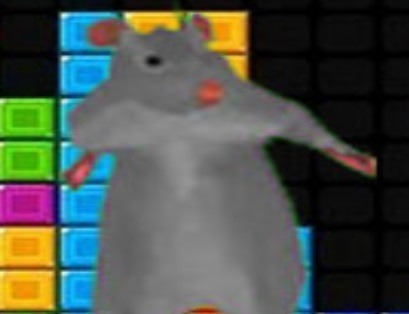 Hra Ratomilton padajúce bloky  online