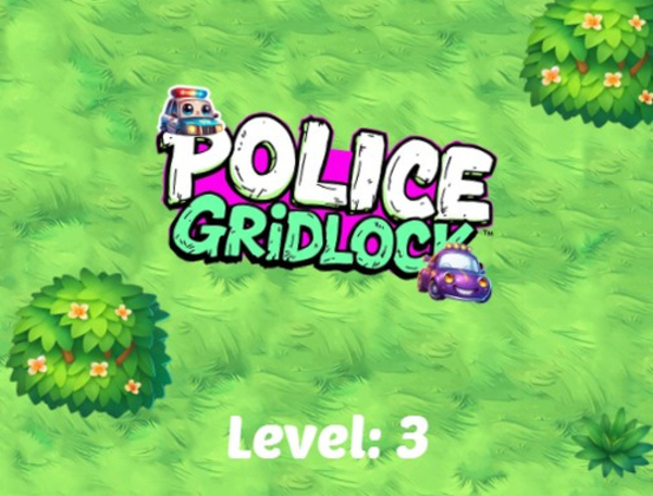 Hra Polícia  online