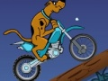 Hra Scooby Doo Trail  online
