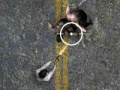 Hra Undead Highway online