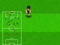 Hra Futbalové MS 2010 online